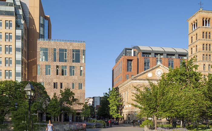 紐約大學校景1 紐約大學校景1