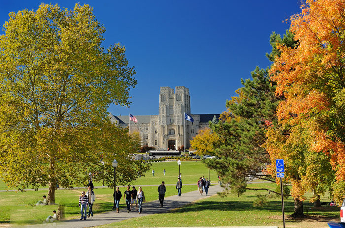 密歇根州立大學校景2